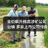 金价飙升推高涉矿公司业绩 多家上市公司预喜（图3）