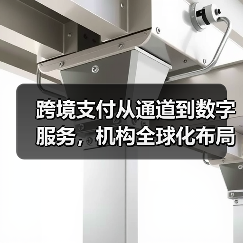 跨境支付从通道到数字服务，机构全球化布局加速（图4）