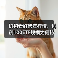 机构看好跨年行情，科创100ETF规模为何持续攀升？（图3）