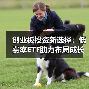 创业板投资新选择：低费率ETF助力布局成长股（图2）