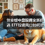 创业板中盘股掘金新机遇 ETF投资风口如何把握？（图2）