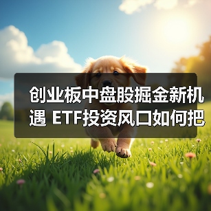 创业板中盘股掘金新机遇 ETF投资风口如