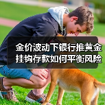 金价波动下银行推黄金挂钩存款如何平衡风险?(图2) 金价波动下银行推黄金挂钩存款如何平衡风险?(图2)