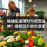 稳健低波理财为何受追捧？规模回升趋势显著（图1）