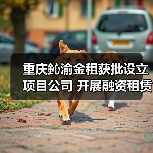 重庆鈊渝金租获批设立项目公司 开展融资租赁业务资格(图2) 重庆鈊渝金租获批设立项目公司 开展融资租赁业务资格(图2)