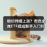 铜价持续上涨？有色金属ETF或成新手入门利器（图3）