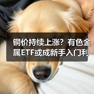 铜价持续上涨？有色金属ETF或成新手入门利器（图4）