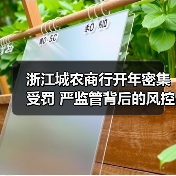 浙江城农商行开年密集受罚 严监管背后的风控警示(图1) 浙江城农商行开年密集受罚 严监管背后的风控警示(图1)