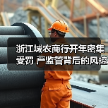 浙江城农商行开年密集受罚 严监管背后的风控警示(图2) 浙江城农商行开年密集受罚 严监管背后的风控警示(图2)