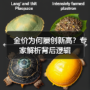 金价为何屡创新高?专家解析背后逻辑(图4) 金价为何屡创新高?专家解析背后逻辑(图4)
