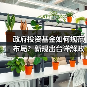 政府投资基金如何规范布局?新规出台详解政策导向(图4) 政府投资基金如何规范布局?新规出台详解政策导向(图4)