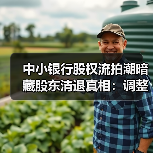 中小银行股权流拍潮暗藏股东清退真相:调整背后如何破局?(图1) 中小银行股权流拍潮暗藏股东清退真相:调整背后如何破局?(图1)