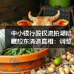 中小银行股权流拍潮暗藏股东清退真相:调整背后如何破局?(图4) 中小银行股权流拍潮暗藏股东清退真相:调整背后如何破局?(图4)