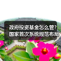 政府投资基金怎么管?国家首次系统规范布局投向(图2) 政府投资基金怎么管?国家首次系统规范布局投向(图2)