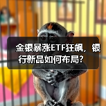 金银暴涨ETF狂飙，银行新品如何布局？（图2）