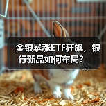 金银暴涨ETF狂飙，银行新品如何布局？（图4）