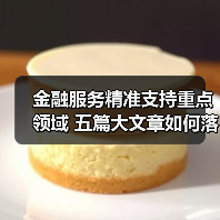 金融服务精准支持重点领域 五篇大文章如何落地见效（图4）