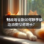 财政与金融如何联手撬动消费投资增长?(图1) 财政与金融如何联手撬动消费投资增长?(图1)