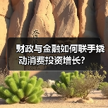 财政与金融如何联手撬动消费投资增长?(图3) 财政与金融如何联手撬动消费投资增长?(图3)