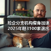 险企分支机构瘦身加速 2025年超3100家退出（图4）