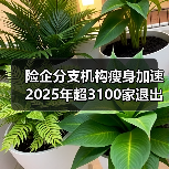 险企分支机构瘦身加速 2025年超3100家退出（图3）