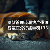 贷款管理疏漏致广州银行肇庆分行被重罚135万（图3）