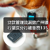 贷款管理疏漏致广州银行肇庆分行被重罚135万（图2）