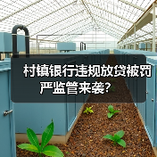 村镇银行违规放贷被罚 严监管来袭?(图2) 村镇银行违规放贷被罚 严监管来袭?(图2)