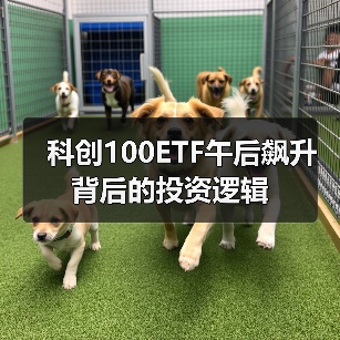 科创100ETF午后飙升背后的投资逻辑（图3）