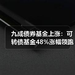 九成债券基金上涨:可转债基金48%涨幅领跑(图2) 九成债券基金上涨:可转债基金48%涨幅领跑(图2)