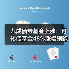 九成债券基金上涨:可转债基金48%涨幅领跑(图3) 九成债券基金上涨:可转债基金48%涨幅领跑(图3)