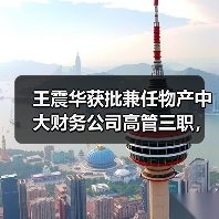 王震华获批兼任物产中大财务公司高管三职，未来布局如何？（图1）