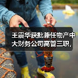 王震华获批兼任物产中大财务公司高管三职，未来布局如何？（图4）