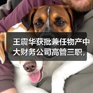 王震华获批兼任物产中大财务公司高管三职，未来布局如何？（图2）
