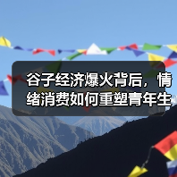 谷子经济爆火背后,情绪消费如何重塑青年生活?(图4) 谷子经济爆火背后,情绪消费如何重塑青年生活?(图4)
