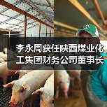 李永周获任陕西煤业化工集团财务公司董事长（图1）