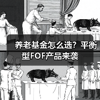 养老基金怎么选？平衡型FOF产品来袭（图4）