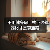 不用健身房!楼下这些器材才是真宝藏(图3) 不用健身房!楼下这些器材才是真宝藏(图3)
