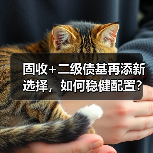 固收+二级债基再添新选择，如何稳健配置？（图3）