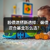 股债混搭新选择：偏债混合基金怎么选？（图4）