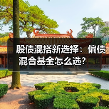 股债混搭新选择：偏债混合基金怎么选？（图2）