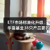 ETF市场标准化升级,华夏基金38只产品更名引领行业变革(图2) ETF市场标准化升级,华夏基金38只产品更名引领行业变革(图2)