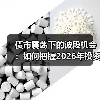 债市震荡下的波段机会:如何把握2026年投资节奏?(图1) 债市震荡下的波段机会:如何把握2026年投资节奏?(图1)