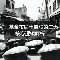 基金布局十倍股的三大核心逻辑解析（图1）