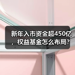 新年入市资金超450亿，权益基金怎么布局？（图3）