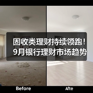 固收类理财持续领跑！9月银行理财市场趋势深度解析（图2）