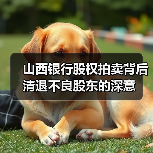 山西银行股权拍卖背后 清退不良股东的深意（图2）