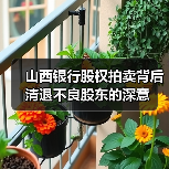 山西银行股权拍卖背后 清退不良股东的深意（图3）