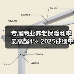 专属商业养老保险利率最高超4% 2025成绩单稳居行业前列（图3）
