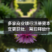 多家商业银行注册资本变更获批，背后释放什么信号？（图1）